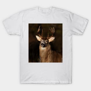 I am 'King' of this forest! - White-tailed Deer T-Shirt
